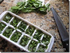 How to freeze garden fresh basil